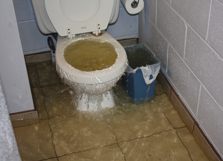 Your Guide to Troubleshooting a Blocked Toilet: Effective Methods and Preventive Tips