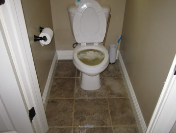 Easy Fixes for an Overflowing Toilet Super Mario Plumbing