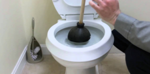 Clogged Toilet